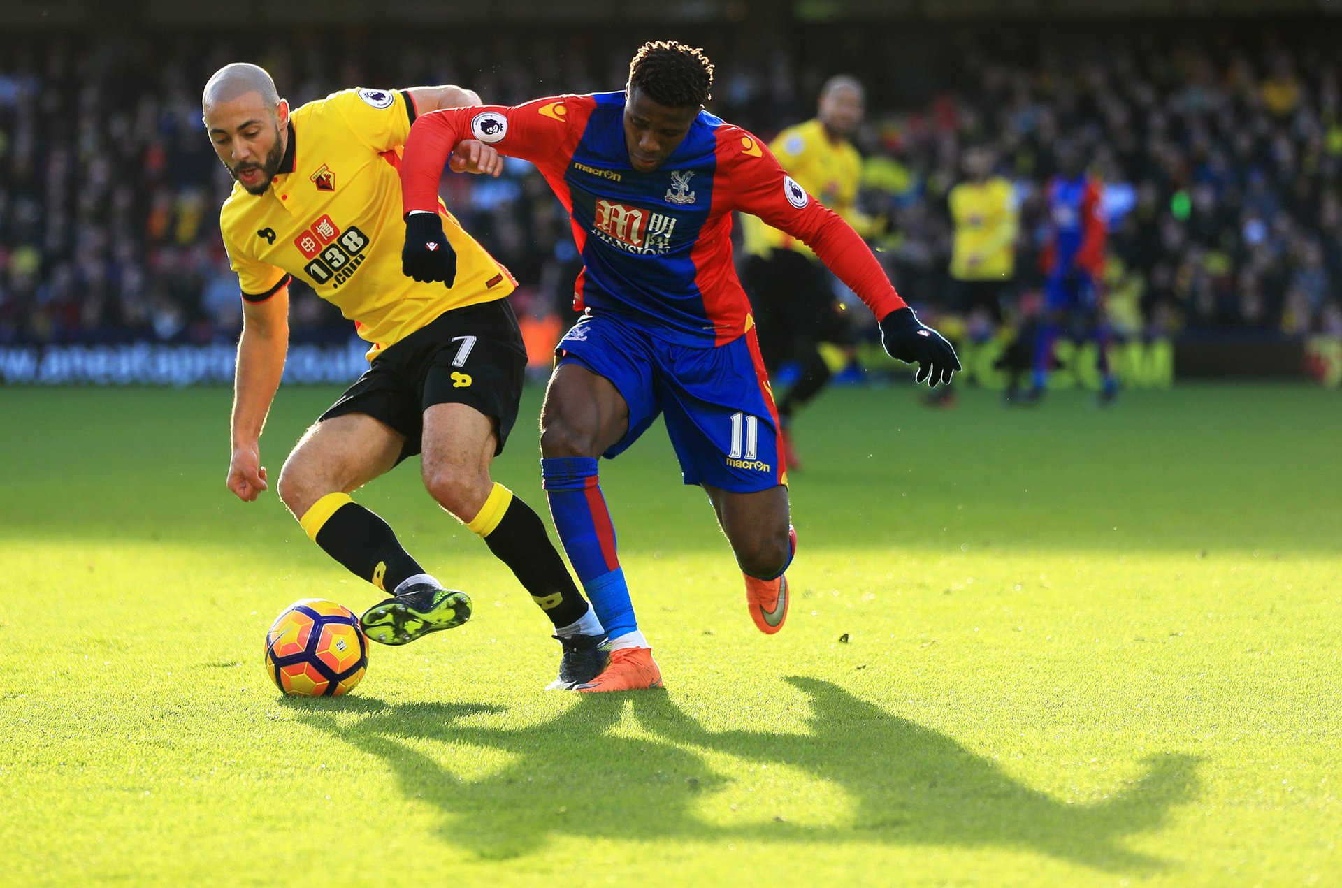 体能训练 体能训练